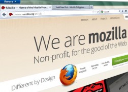 Mozilla Screenshot